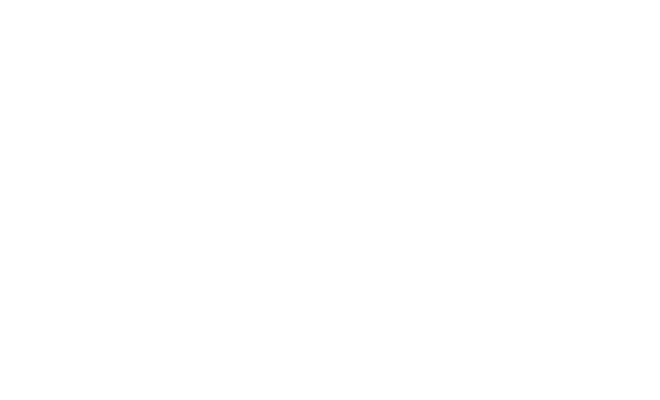 Flourish Fi