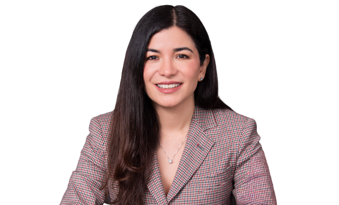 Viviana Araque Mendoza 